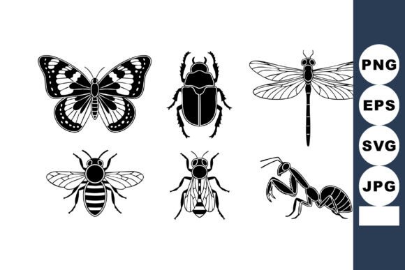 Download Insects Collection Vector - Premium Bundle