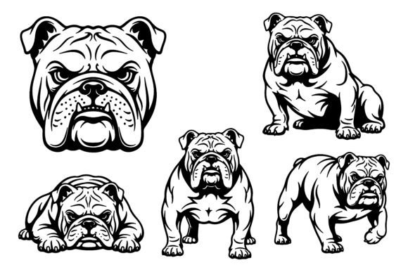 Download Bulldogs Black and White Drawings Animal - Black and white drawings Collection
